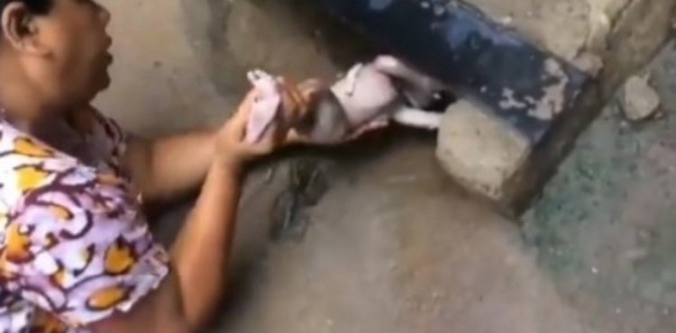 Bombay :Abandonaron a una recién nacida en una alcantarilla En muchas áreas, una hija es vista como una carga inútil