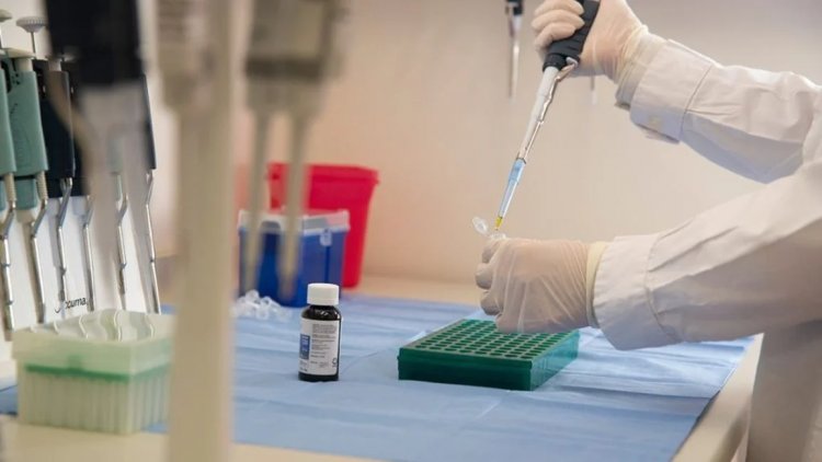 Cannabis medicinal: Salta se prepara para una jornada clave sobre el desarrollo del Reprocann y la Economía del Conocimiento